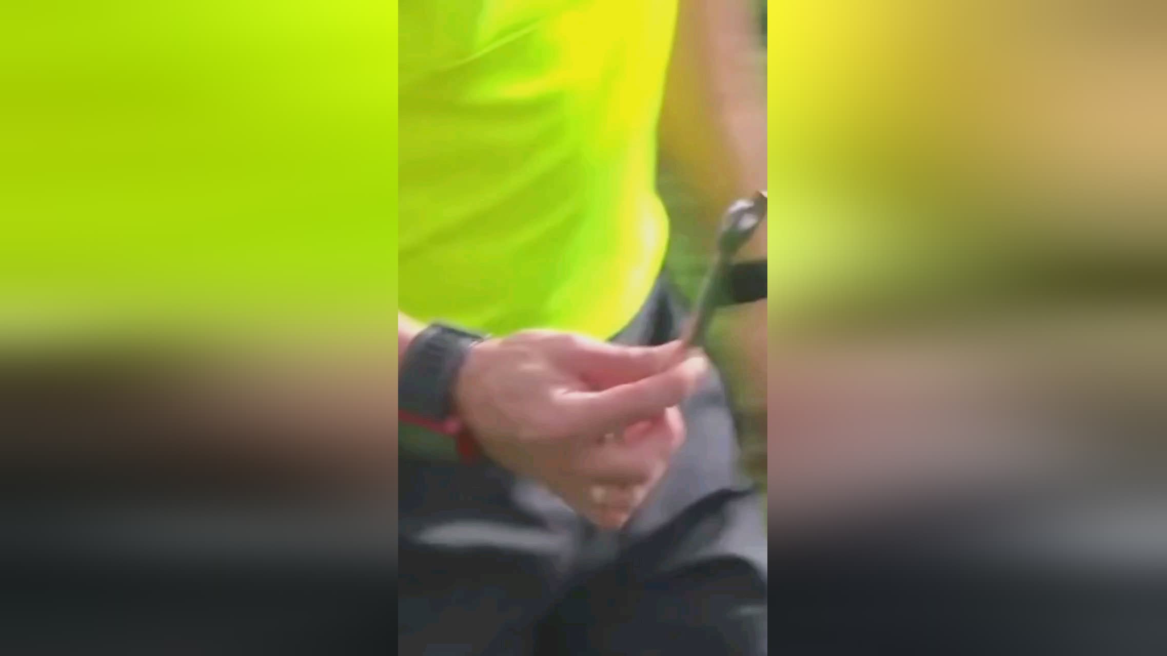 于阿根廷的